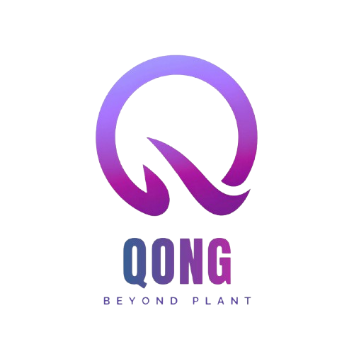 QONG.AI